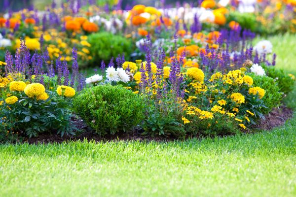 Flower Bed Maintenance in Sequim
