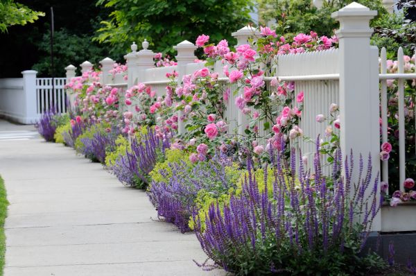 Garden Handyman Service in Sequim