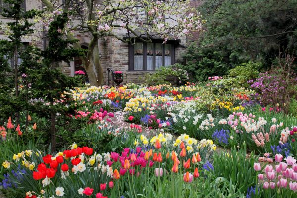 Garden Maintenance Service in Sequim