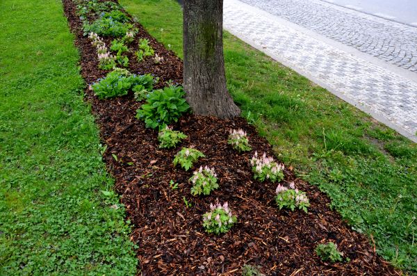 Mulch Replacement Service in Sequim