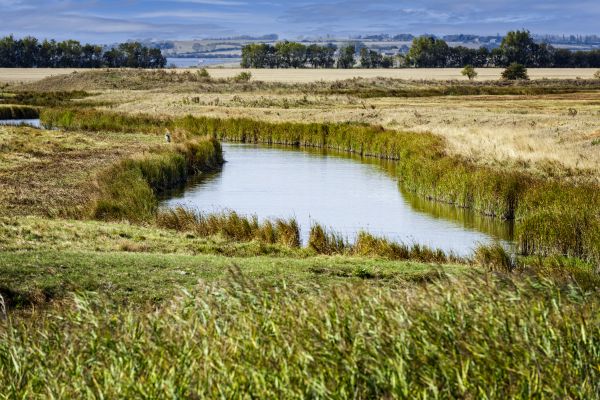 Swale Landscaping in Sequim