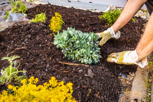 Weeding And Mulching in Sequim