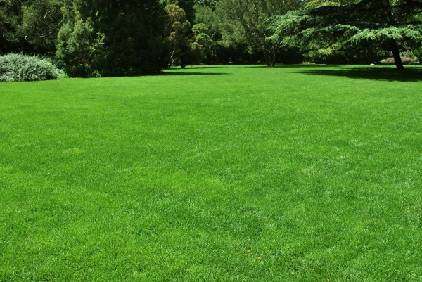 Lawn Landscaping in Sequim