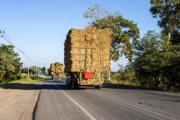 Pine Straw Delivery in Sequim