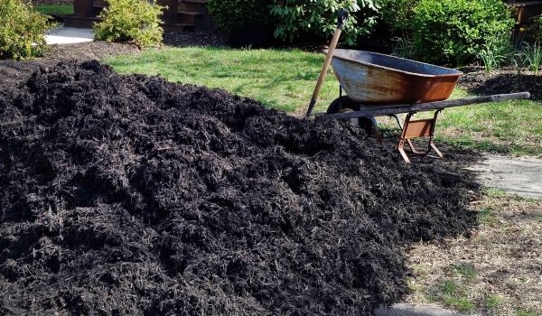 Black Mulch Delivery in Sequim