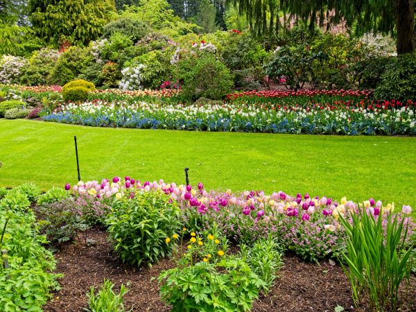 Residential Landscape Design in Sequim