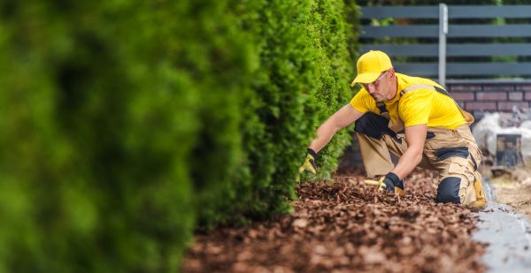 Cypress Mulch Installation in Sequim