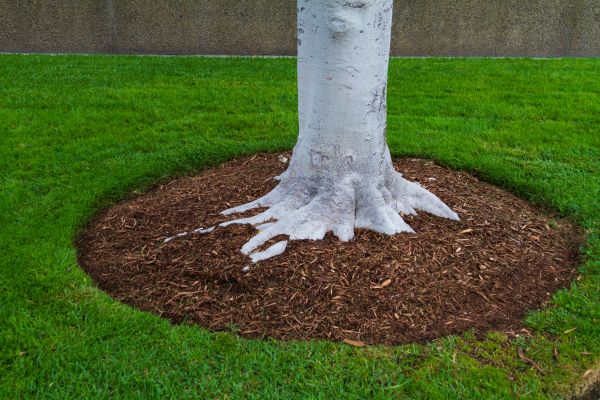 Brown Mulch Installation in Sequim
