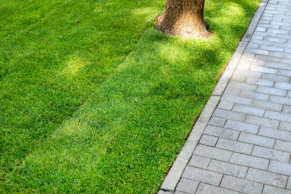 Border Stone Installation in Sequim