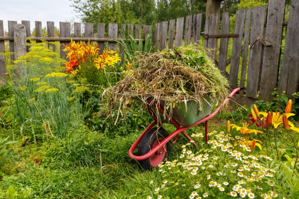 Garden Cleanup Service in Sequim