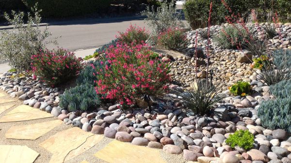 Xeriscape Landscaping in Sequim