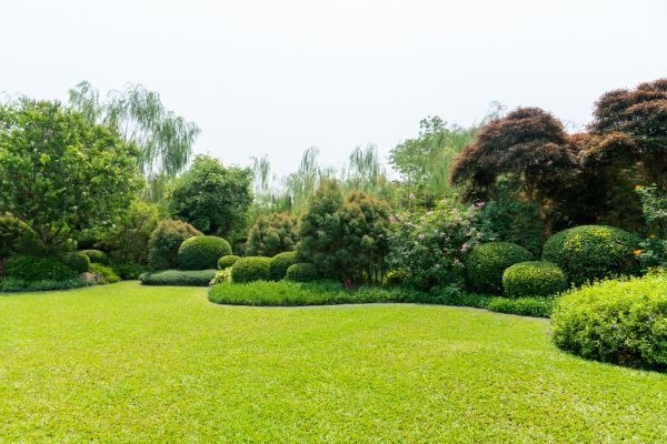 Tree Landscaping in Sequim