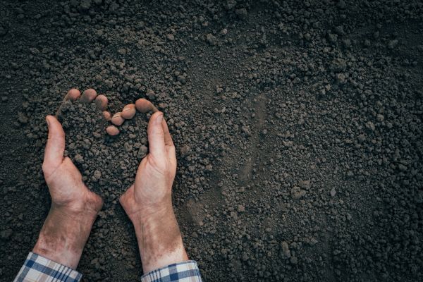 Soil Installation in Sequim
