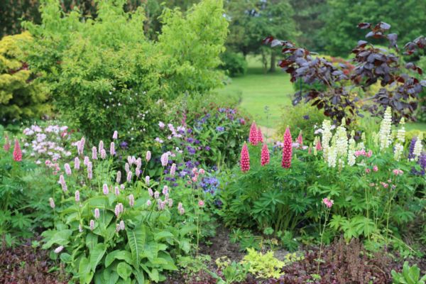Flower Bed Planting in Sequim