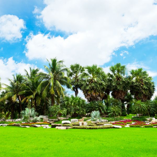 Tropical Landscaping in Sequim