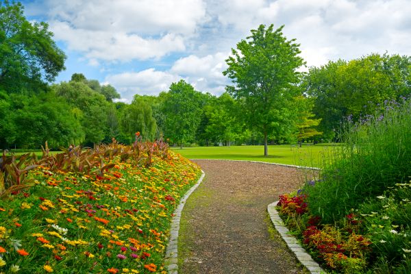 Park Landscaping in Sequim