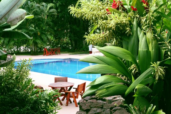 Tropical Garden Landscaping in Sequim