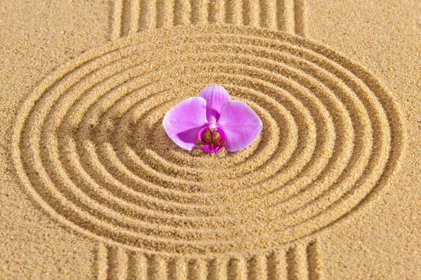 Sand Garden Landscaping in Sequim