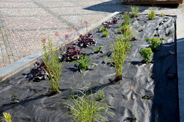 Landscape Fabric Installation in Sequim