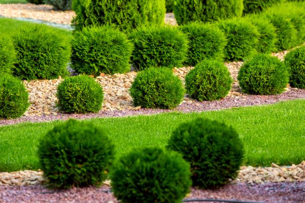 Bush Installation in Sequim