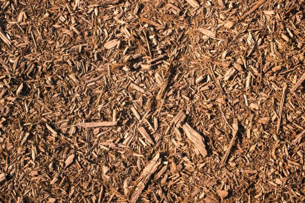 Wood Chips Removal in Sequim