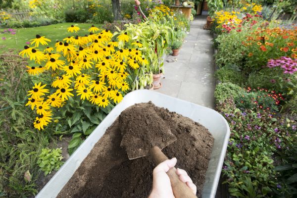 Topsoil Replacement in Sequim