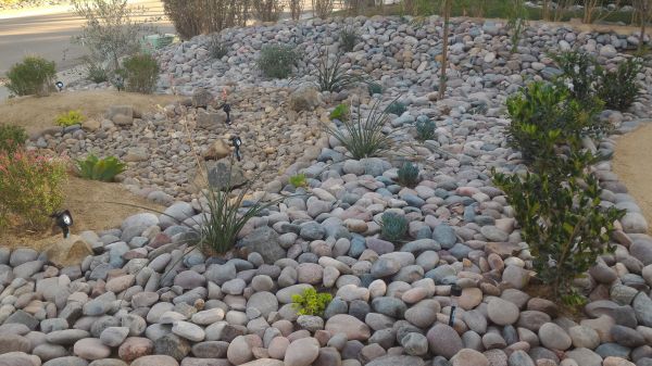 Yard Xeriscaping in Sequim