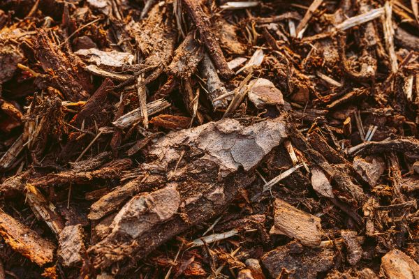 Bark Mulch Delivery in Sequim