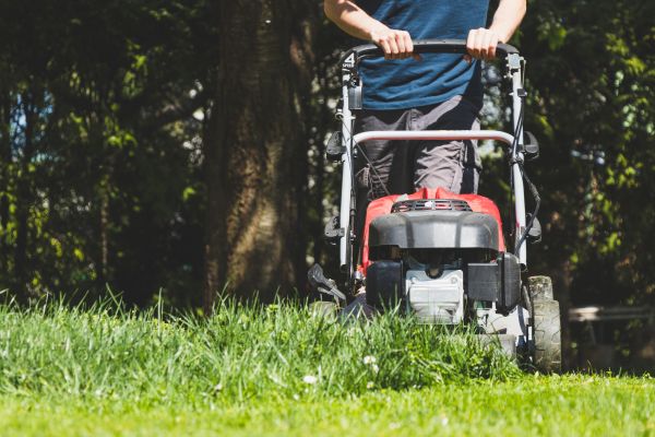 Garden Trimming Service in Sequim