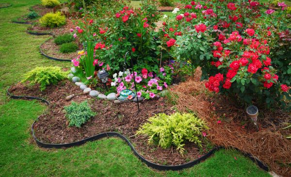Floral Landscaping in Sequim