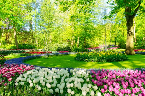 Flower Landscaping in Sequim