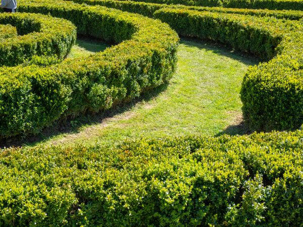 Bush Landscaping in Sequim