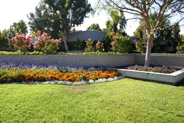 Commercial Landscape Service in Sequim