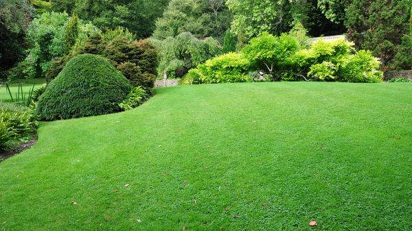 Commercial Landscape Design in Sequim