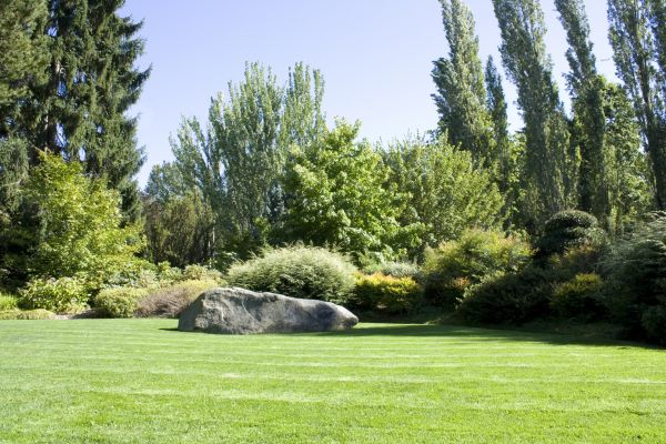 Yard Enlargement in Sequim