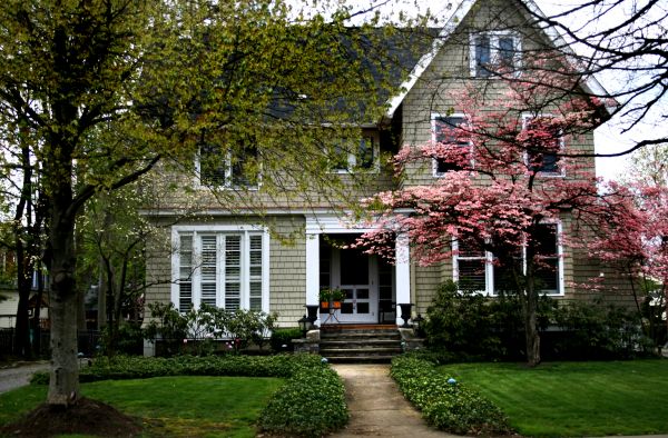 Ornamental Tree Planting in Sequim