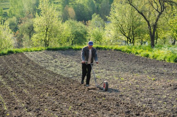 Plant Bed Weeding in Sequim
