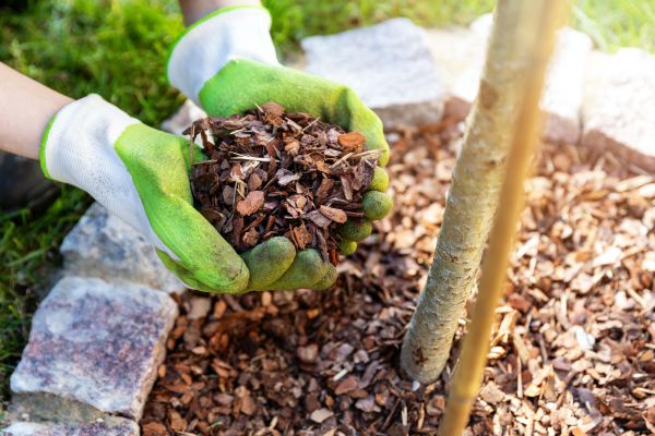 Tree Bark Delivery in Sequim