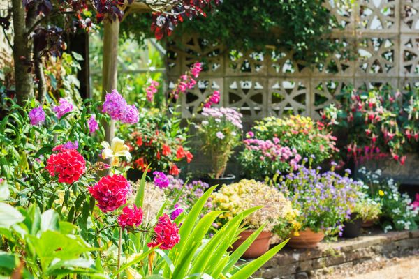 Spring Garden Maintenance in Sequim