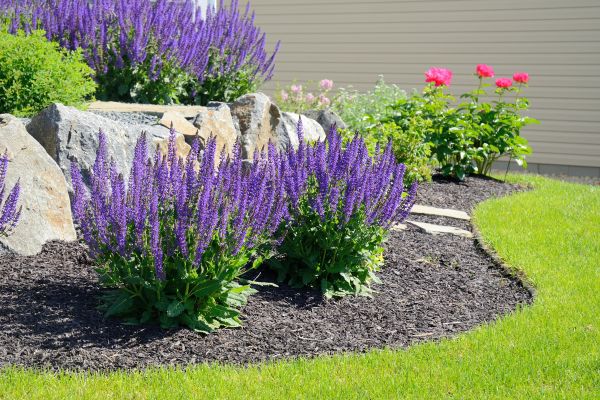 Landscape Planting Service in Sequim