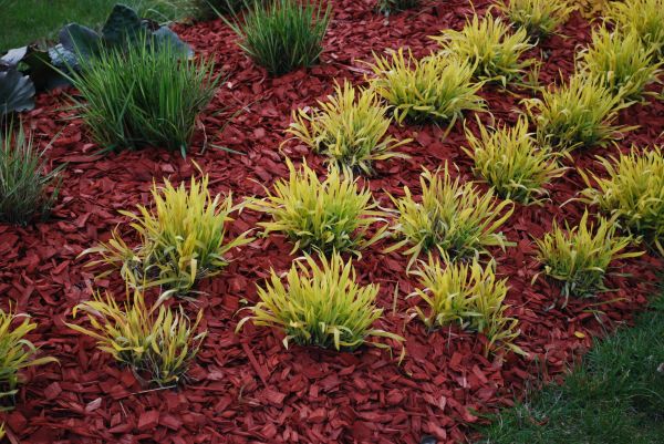 Red Mulch Installation in Sequim