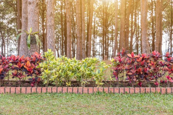 Small Garden Landscaping in Sequim
