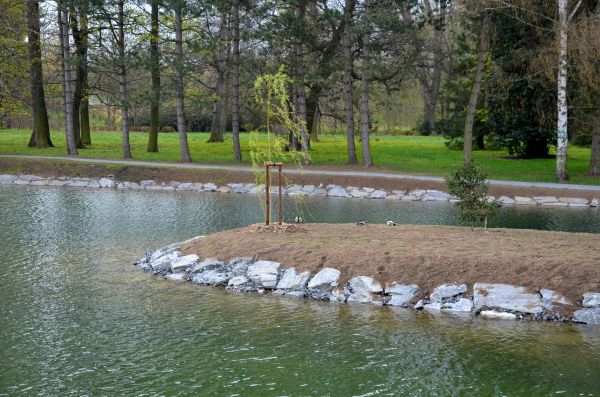 Pond Landscaping Service in Sequim