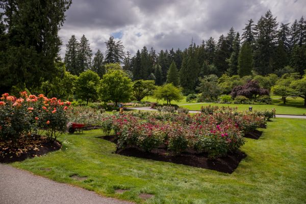 Flower Garden Landscaping in Sequim