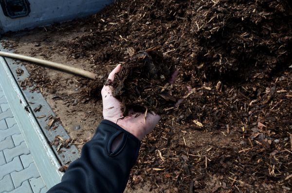 Condo Mulching in Sequim