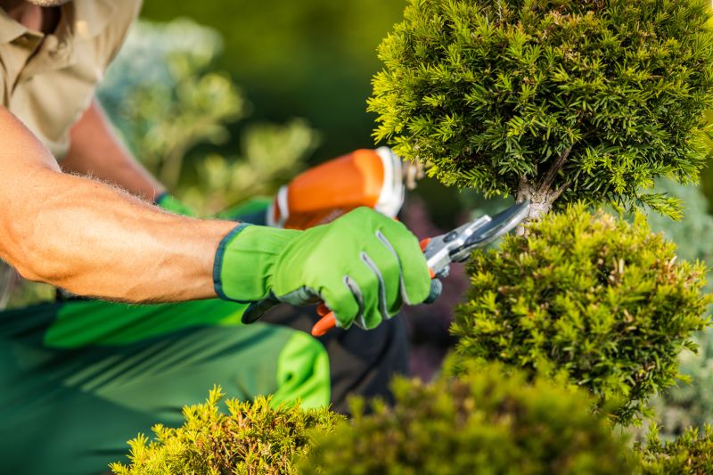 Garden Care Service