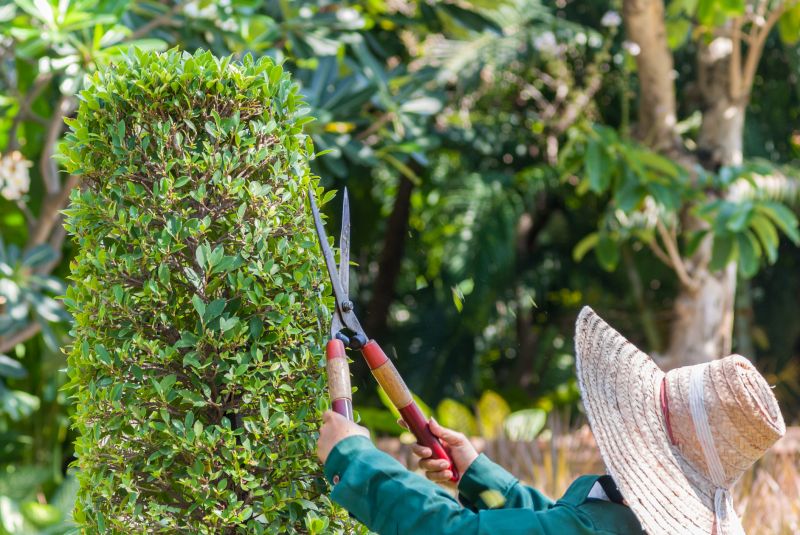 Hedge Landscaping