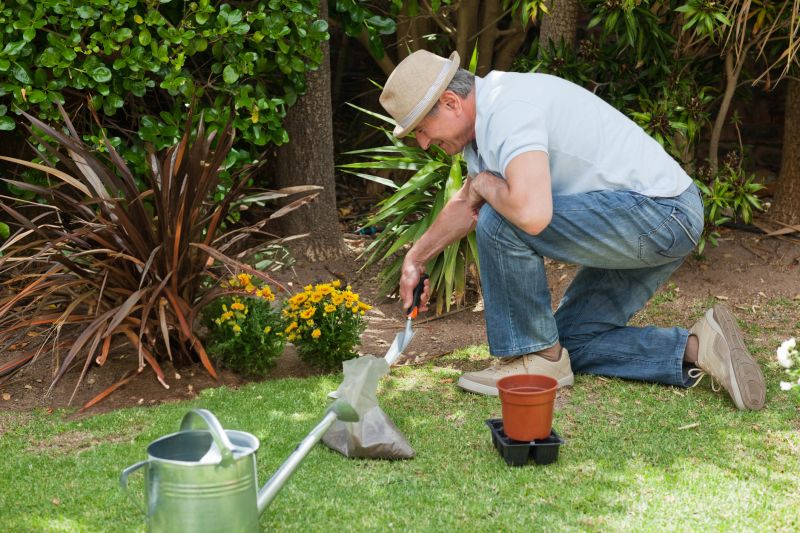 Small Garden Landscaping